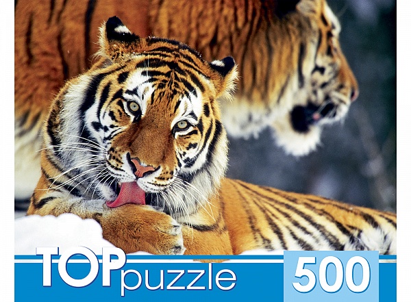 Пазлы 500эл Два тигра КБТП500-6797 Рыжий кот - Елабуга 