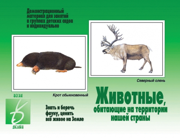 Игра животные нашей страны д-281 киров - Екатеринбург 