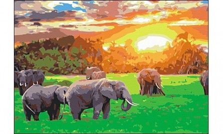 Холст РР003 с красками 30*40см по номерам "Кенийские слоны"  Рыжий кот - Ульяновск 