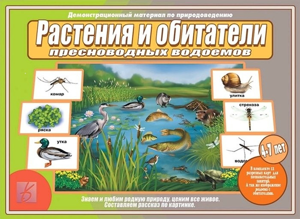 Игра Д-515 Растения и обитатели пресноводных водоемов Бурдина, Киров - Елабуга 