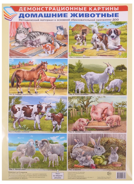 Демонстрационные картины 1672-8 Домашние животные А3 8 картин + текст заданий - Саратов 