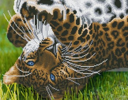 Алмазная мозаика ASD5021 Игривый леопард блест 40х50см 14цв - Елабуга 