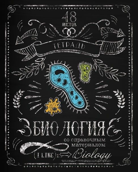 Тетрадь биология 48л скр А5 кл 8743-EAC   - Челябинск 