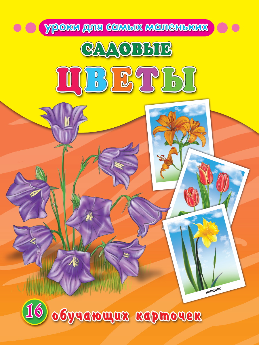 Обучающие карточки 26312-7 Садовые цветы Проф-Пресс - Елабуга 