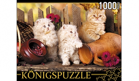 Пазл 1000эл Персидские котята ГИК1000-8240 Konigspuzzle - Заинск 
