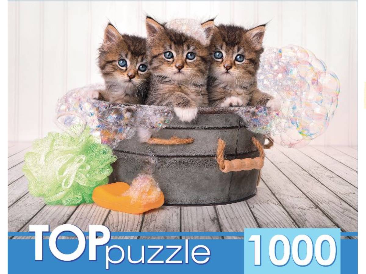 Пазлы 1000эл ШТТП1000-7182 Три голубоглазых котенка Рыжий кот - Орск 