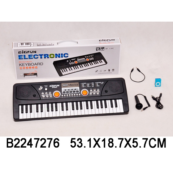 Пианино BF-530C3 с микрофоном USB от сети B2247276 в коробке - Москва 