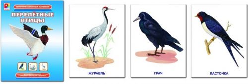 Игра дем.мат. Перелетные птицы с-765 киров - Оренбург 