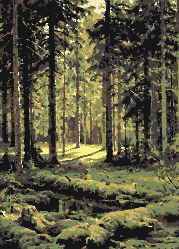 Картина Хвойный лес Шишкин И.И. рисование по номерам 50*40см КН50402276 - Пенза 