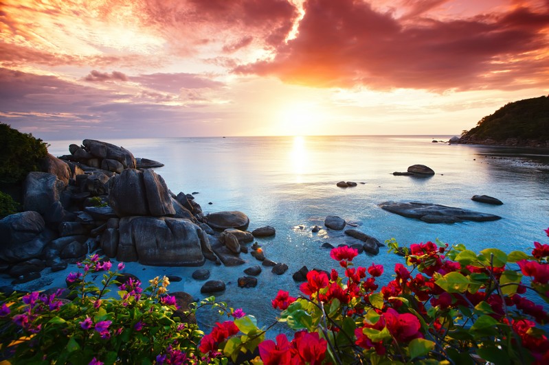 Холст по номерам ХК-6275 Яркий пейзаж с красивым закатом 20цв 30х40см Рыжий кот - Заинск 