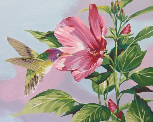 Картина "Гибискус"и колибри" рисование по номерам 50*40см КН5040015 - Заинск 