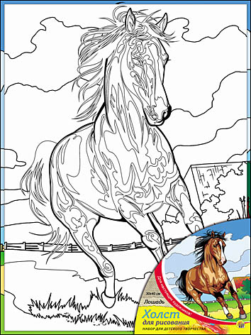 Холст Х-9843 с красками Лошадь 30*40см Рыжий кот - Челябинск 
