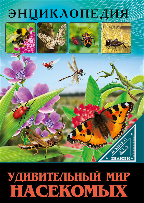 Энциклопедия 27552-6 Удивительный мир насекомых В мире знаний Проф-пресс - Ульяновск 