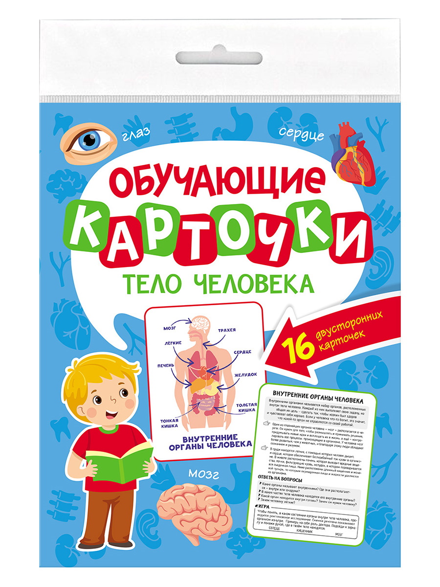 Обучающие карточки 12765-9 Тело человека Проф-Пресс - Тамбов 