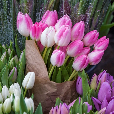 Алмазная мозаика ASB021 Нежные розовые тюльпаны 20х20см 20 цветов - Уфа 
