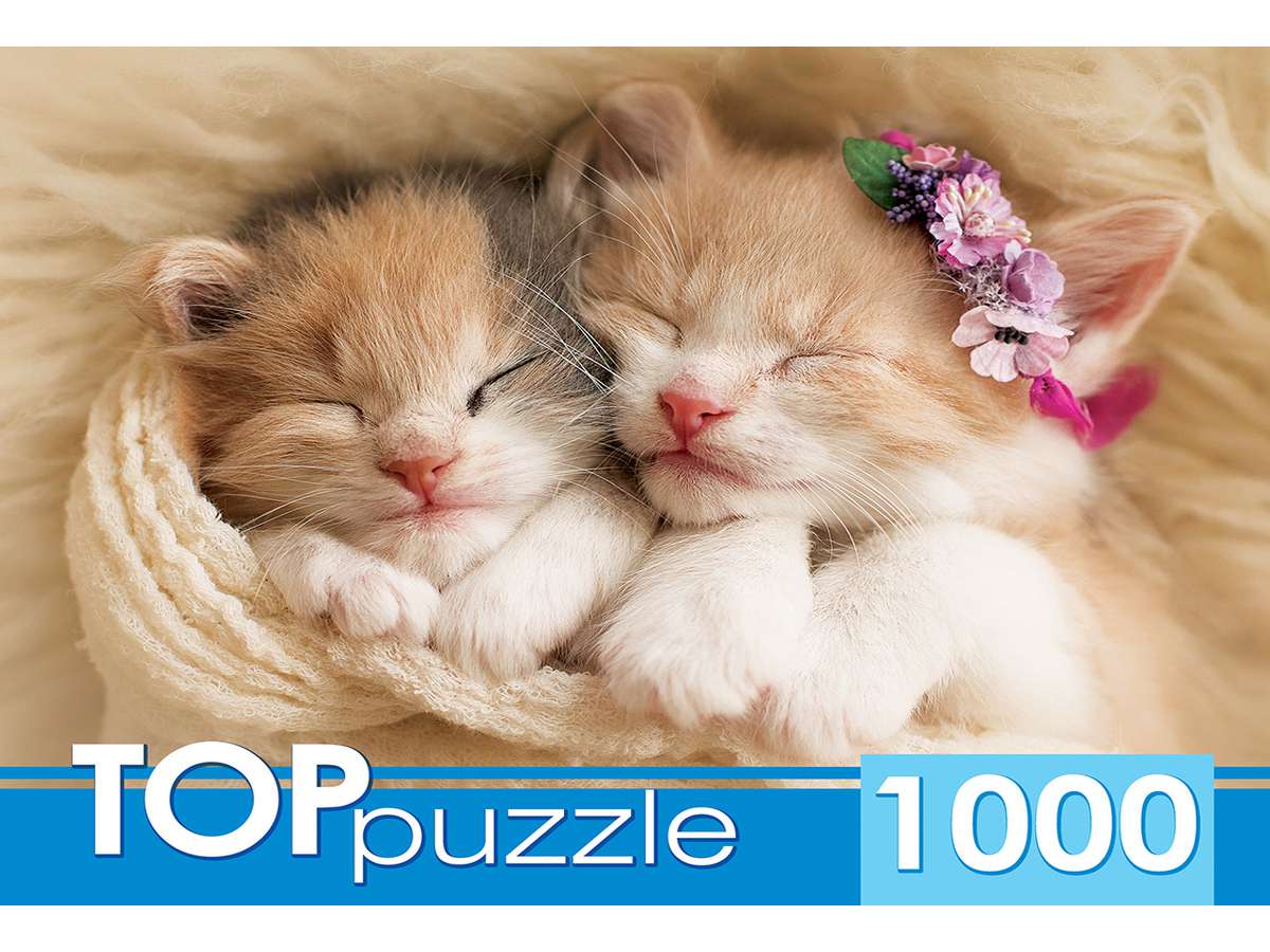 Пазл 1000 элементов Два спящих котенка ГИТП1000-2142 TOPpuzle Рыжий кот - Челябинск 