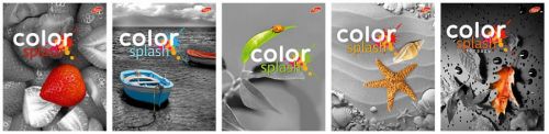 Тетрадь 48л скр А5 кл 7847/5-EAC Color splash: цветные объекты на черно-белом   - Самара 