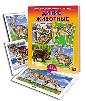 Дид.пособие пд-7216 "Дикие животные" Рыжий Кот - Заинск 