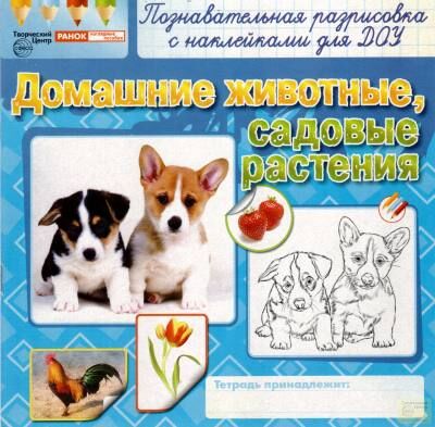Раскраски с наклейками 9900-8 Домашние животные, садовые растения - Пермь 
