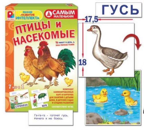 Игра с-972 "Самым маленьким. Птицы м насекомые" киров - Бугульма 
