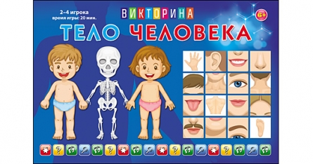 Игра ИН-8520 Викторина для малышей.Тело человека Рыжий Кот - Нижнекамск 