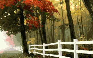 Картина "Осенний лес" рисование по номерам 50*40см КН5040034 - Омск 