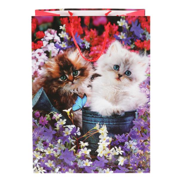 Пакет подарочный Котята 33х46х20см CLRBG-CATS-03 глянец ТМ Играем вместе 299359 - Йошкар-Ола 
