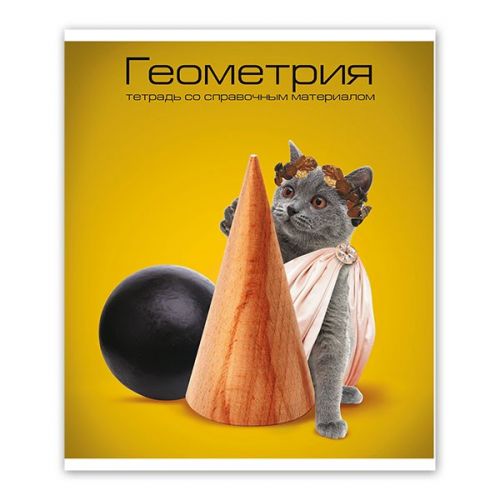Тетрадь 48л кл Ученые коты Геометрия  ТТКГЕОМ-6УК/Р/ - Магнитогорск 