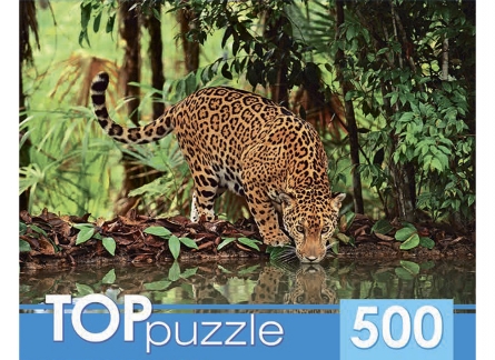 Пазлы 500эл Ягуар на водопаде КБТП500-6801 Рыжий кот - Бугульма 
