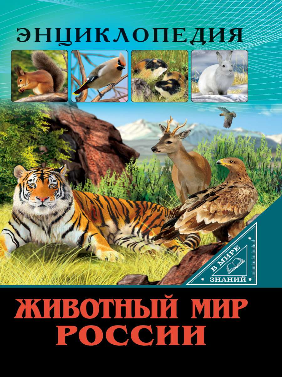 Энциклопедия 27556-4 Животный мир России Проф-Пресс - Челябинск 