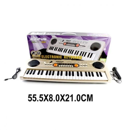 Синтезатор BF-530B2 Bigfun 49 клавиш запись микрофон от сети и на батарейках - Волгоград 