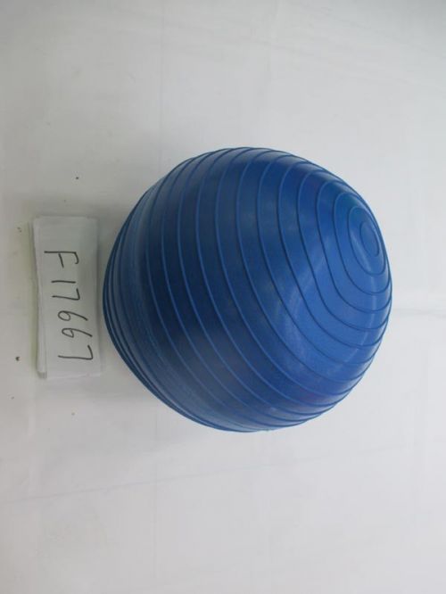Мяч F17667 гимнастический 80см 1500гр в пакете   - Челябинск 