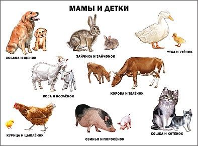 Плакат 17366-2 "МАМЫ И ДЕТКИ"  проф-пресс - Пенза 