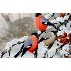 Картина "Снегири в лесу" рисование по номерам 50*40см КН5040021 - Тамбов 