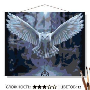 Картина Полярная сова рисование по номерам 50*40см КН5040422 - Альметьевск 
