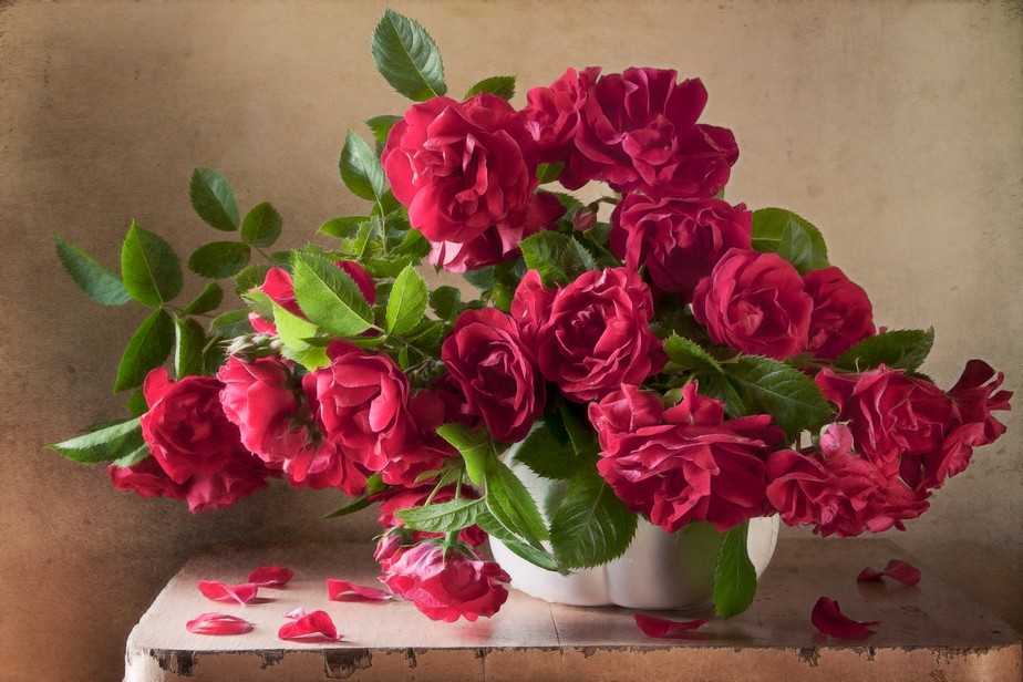 Холст по номерам ХК-6321 Благоухающие розы на столе 19цв 30х40см Рыжий кот - Саранск 