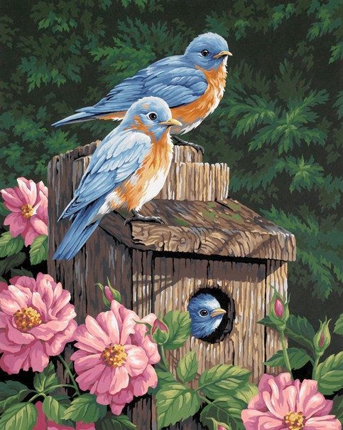 Картина "Синешейки в саду" рисование по номерам 50*40см КН5040013 - Нижнекамск 