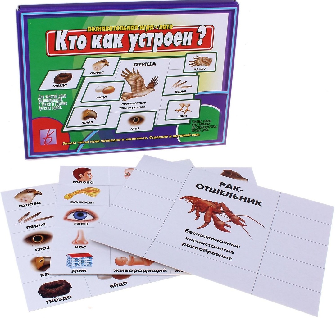Игра Д-400 Кто как устроен Киров, Бурдина - Елабуга 
