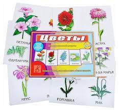 Игра Д-478 Цветы Киров, Бурдина - Елабуга 