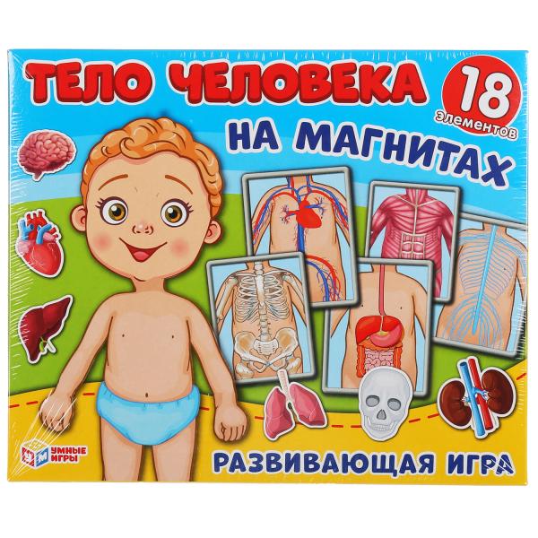 Игра-одевайка 14383 на магнитах Тело человека одень куклу ТМ Умные игры 299783 - Екатеринбург 