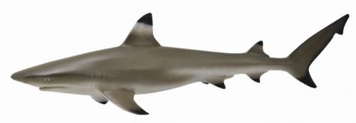 Фигурка 88726b Collecta Рифовая акула М - Томск 