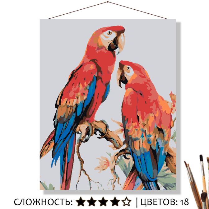 Картина Два попугая рисование по номерам 50*40см КН5040858 - Санкт-Петербург 