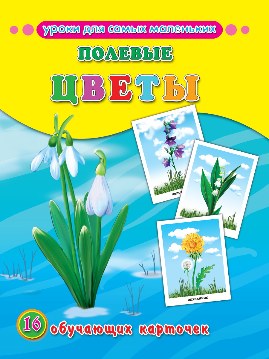 Обучающие карточки 26310-3 Полевые цветы Проф-Пресс - Омск 