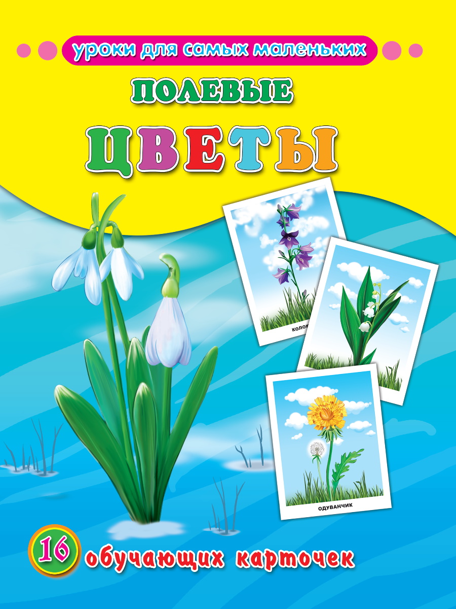 Обучающие карточки 26310-3 Полевые цветы Проф-Пресс - Орск 