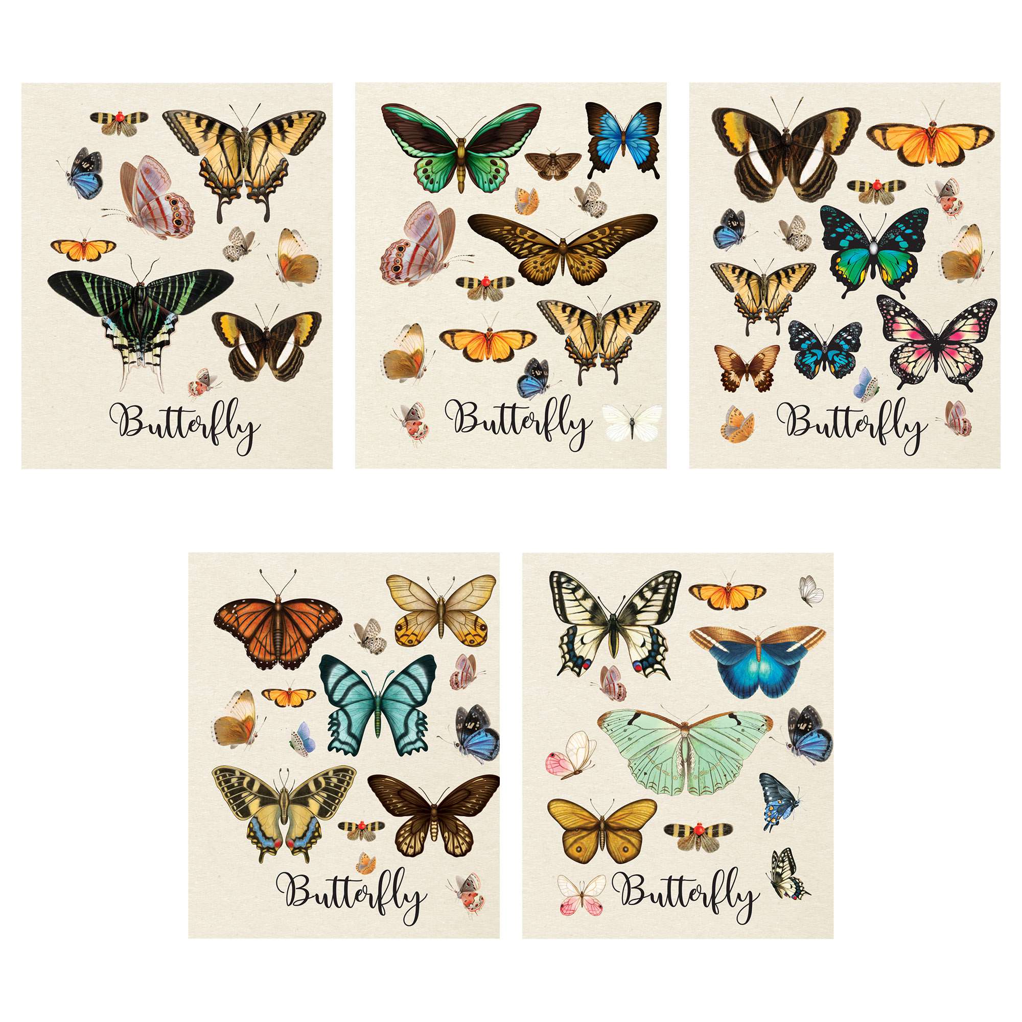 Тетрадь клетка 48 листов 10885/5 А5 Butterfly - Оренбург 