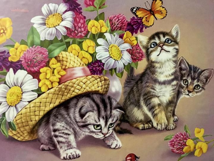 Картина Любопытные котята по номерам на холсте 50*40см КН5040518 - Москва 