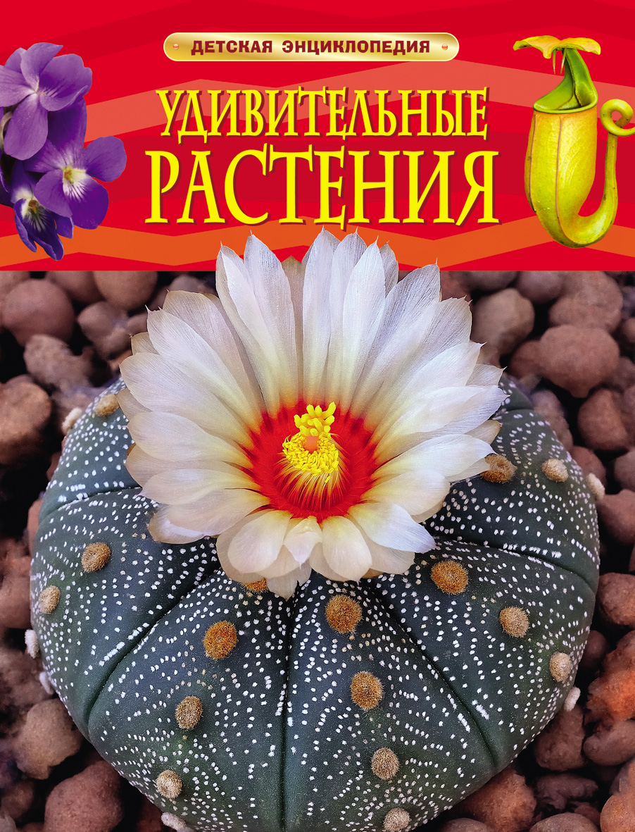 Книга 24751  Энциклопедия "Удивительные растения" Росмэн