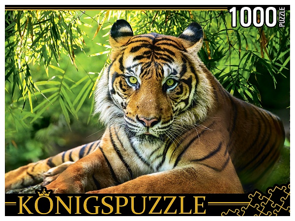 Пазл 1000эл Благородный тигр ГИК1000-0649 Рыжий кот - Саратов 
