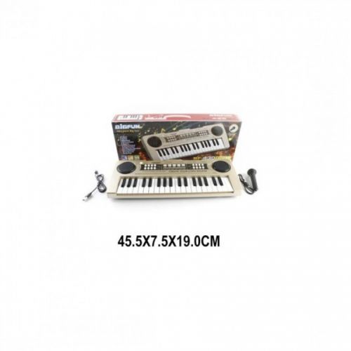 Синтезатор BF-430B1 Bigfun 37 клавиш, запись, микрофон в ассортименте - Орск 