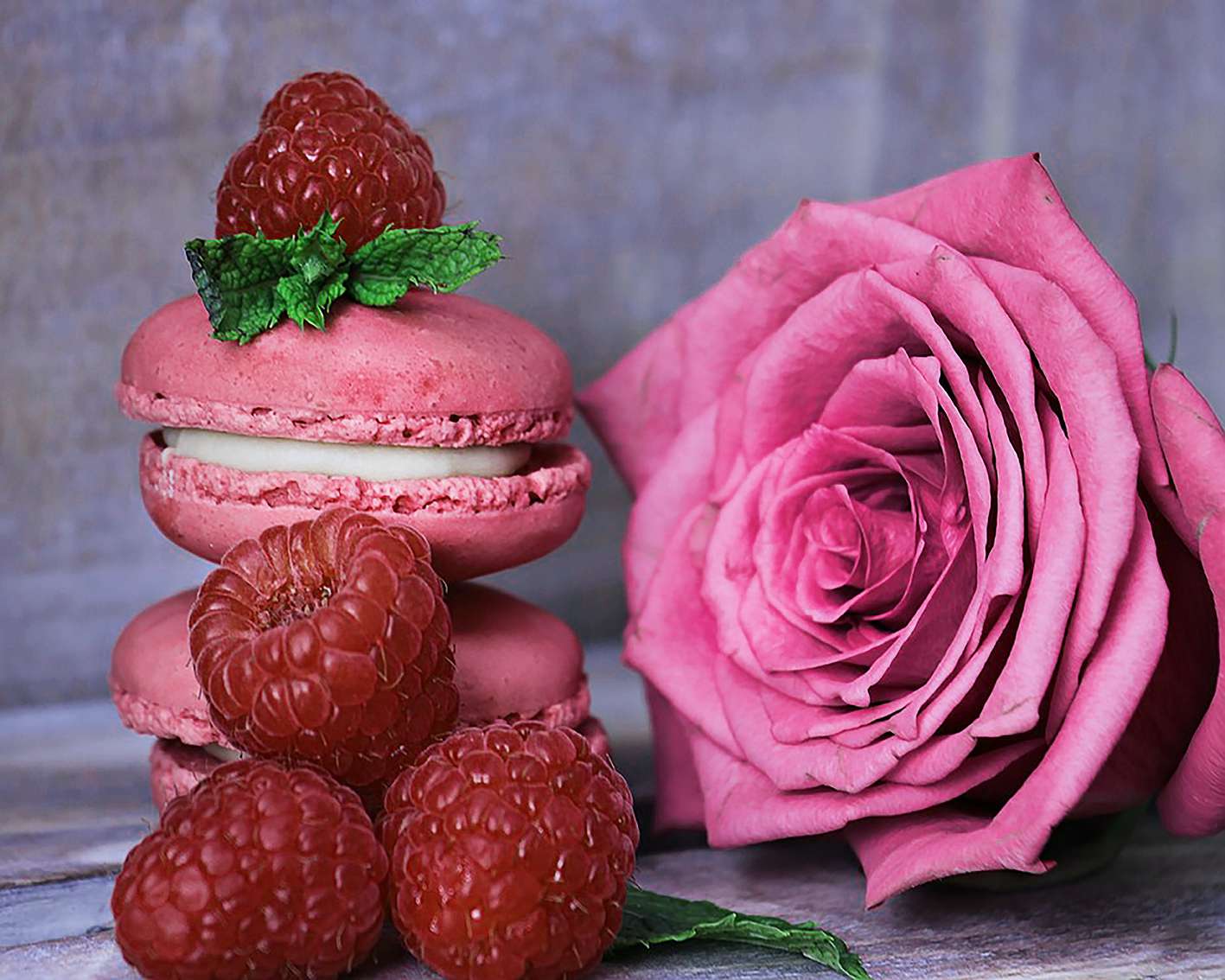 Холст Х-1026 с красками Роза и малиновый десерт 40*50см Рыжий кот - Альметьевск 